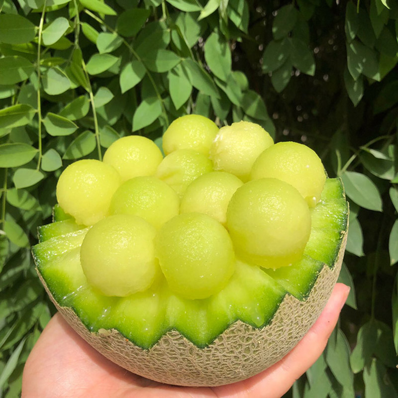 [瓜界冰淇淋 现摘现发]网纹玲珑瓜 果汁如蜜 5斤精选大果1-2枚 应季