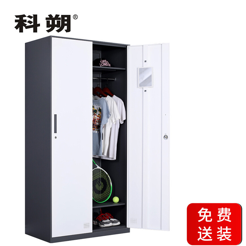 科朔文件柜两门更衣柜钢柜钢制办公室更衣柜铁皮更衣柜储物柜KS-G001 500深2门柜