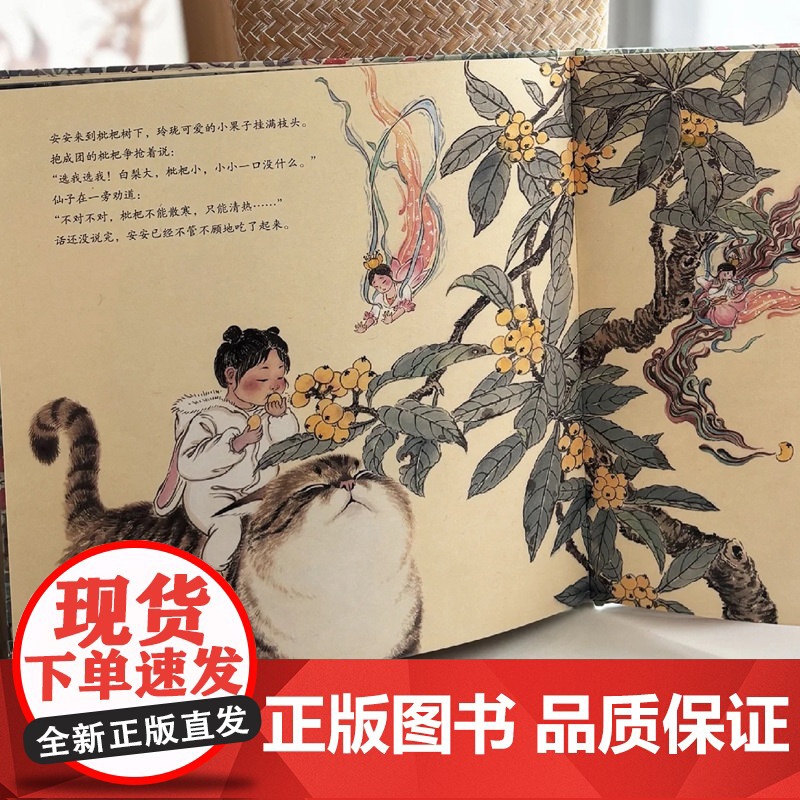 安安的草药国之旅硬壳3-8岁宝宝漫画儿童故事书幼儿园绘本早教启蒙中医中药知识传统文化食疗 果实治咳嗽果部药用知识书籍高清大图