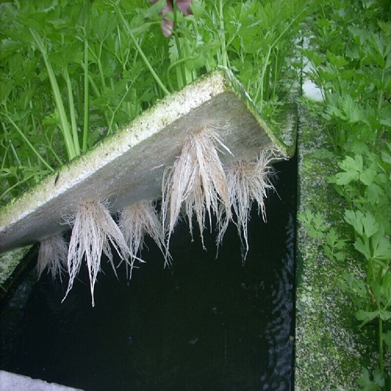 无土栽培定植板温室无土栽培设备水培蔬菜带孔水耕漂浮定植板水上种菜发泡板 32号篮25个+32号棉25个高清大图
