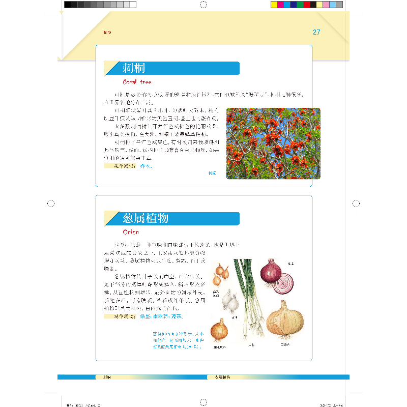 醉染图书植物(发现科学百科全书)9787532655014高清大图