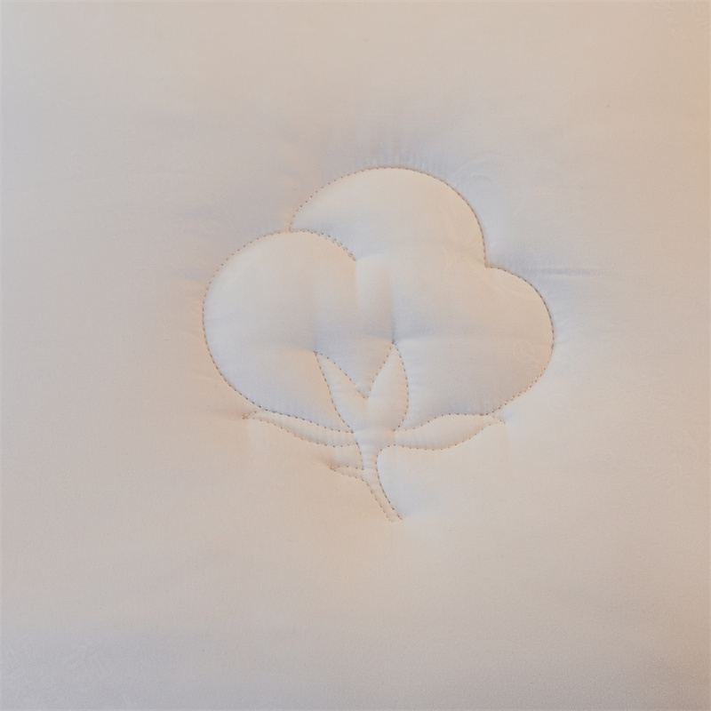 枂承褥子200*220cm5cm厚床高清大图