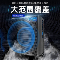 先科 (SAST) SA- 122英寸广场舞音响 蓝牙拉杆音箱 彩灯户外便携式音响大功率低音炮KTV 扩音器带无线麦克风