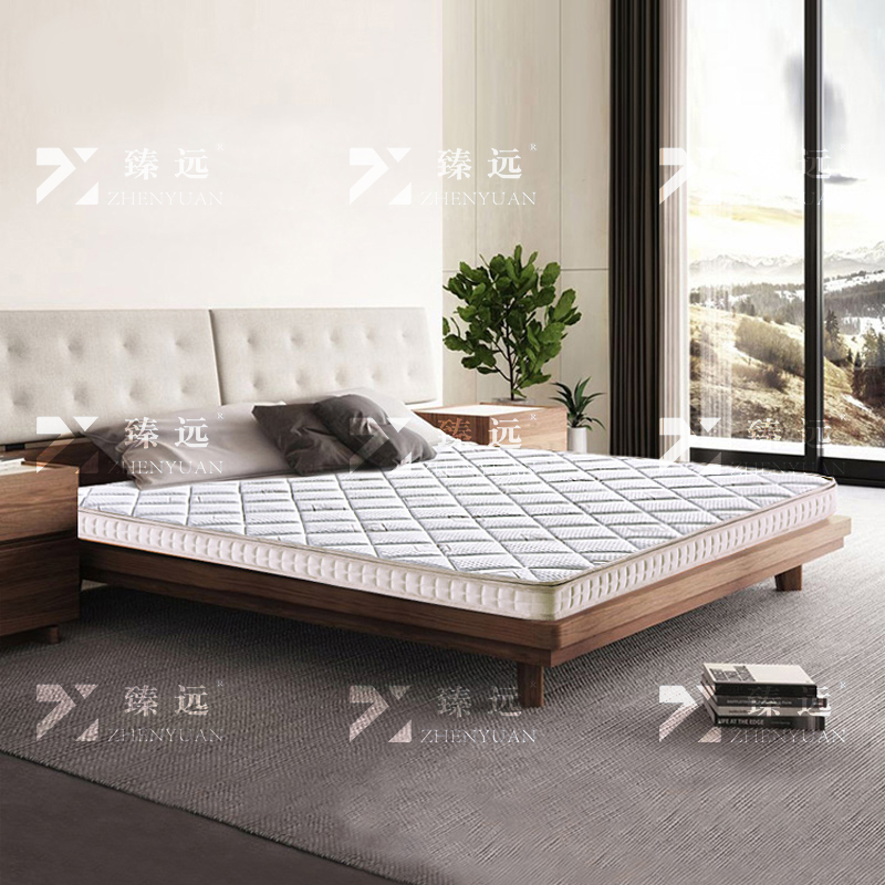 臻远 ZY3120208 棕垫护脊3E椰棕床垫1800*2000