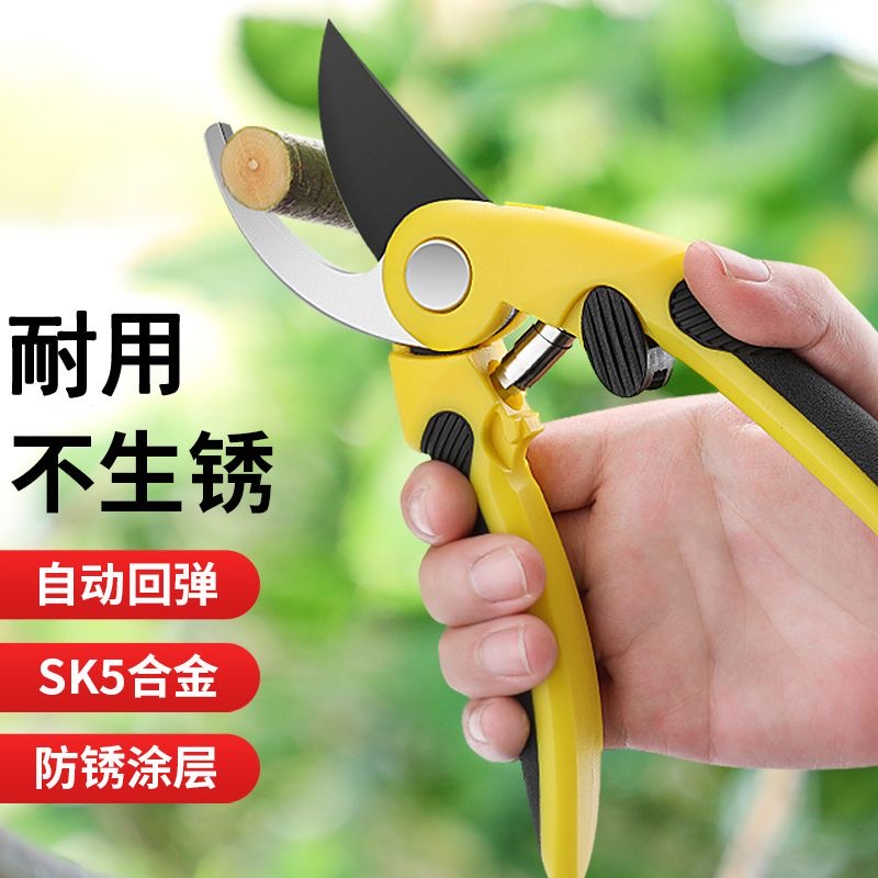 果树修枝剪剪枝剪园艺修花整枝剪园林省力修剪粗枝树枝剪刀X7163 亮黄园林果树【修枝剪】 21mm
