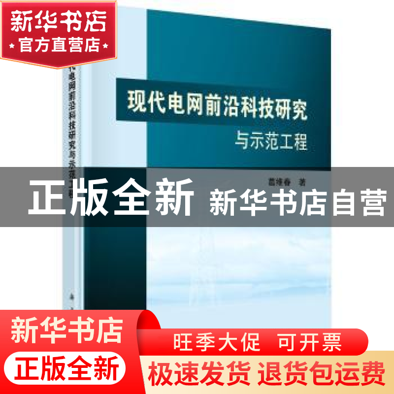 正版 现代电网前沿科技研究与示范工程 葛维春 科学出版社 978703高清大图