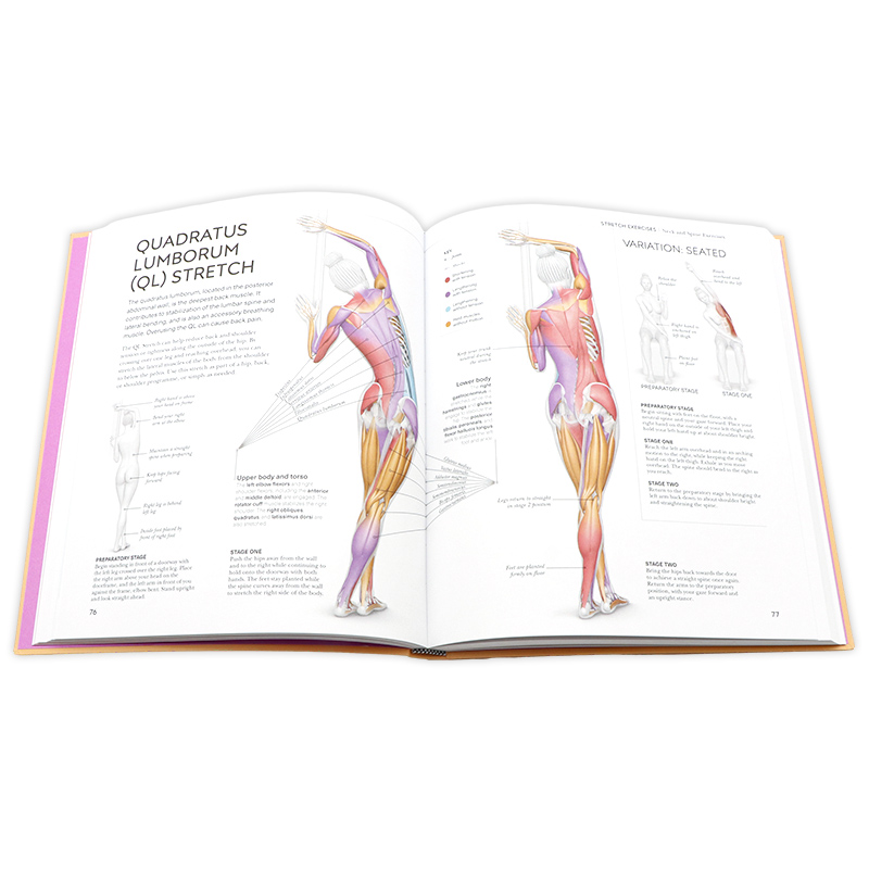 [正版]DK拉伸科学英文原版 Science of Stretch 探索新的运动和缓解僵硬的关节100多个练习临床前高清大图