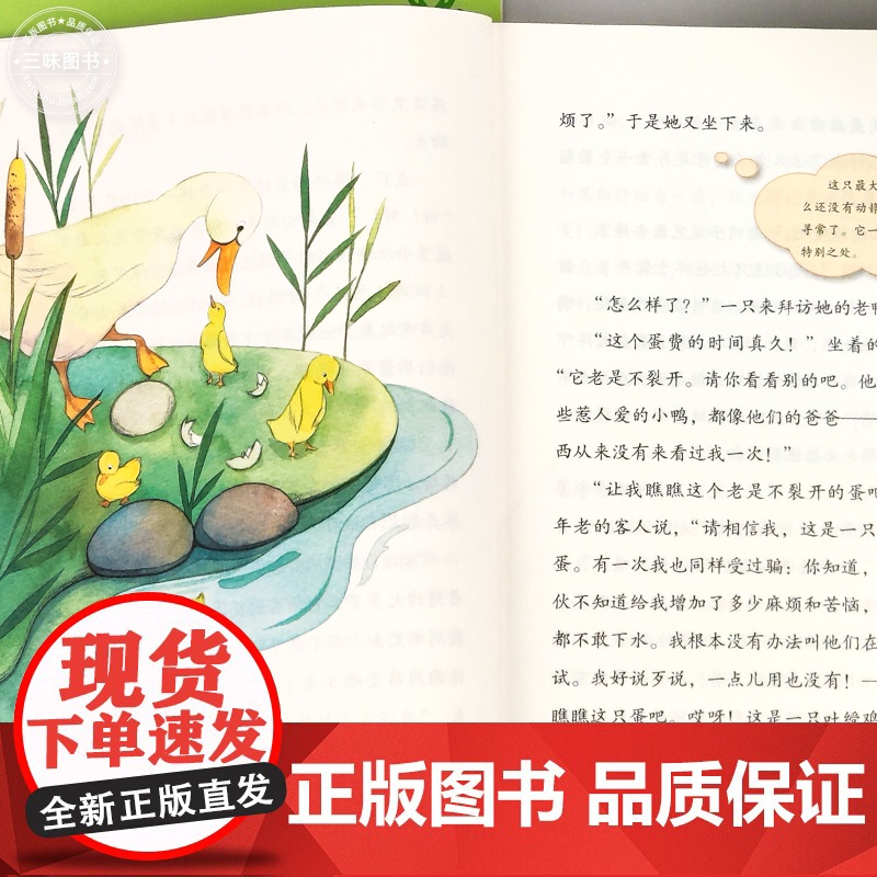 三年级上册快乐读书吧 共3册人教版书稻草人叶圣陶全集格林童话安徒生童话小学生课外阅读经典书籍名著读物人民教育出版社高清大图