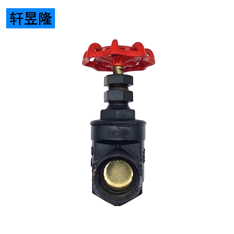 轩昱隆铸铁截止阀DN20/个高清大图