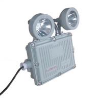 LHDQ 领航电器 LHB1113-2×1W 防爆应急灯 冷白 IP65