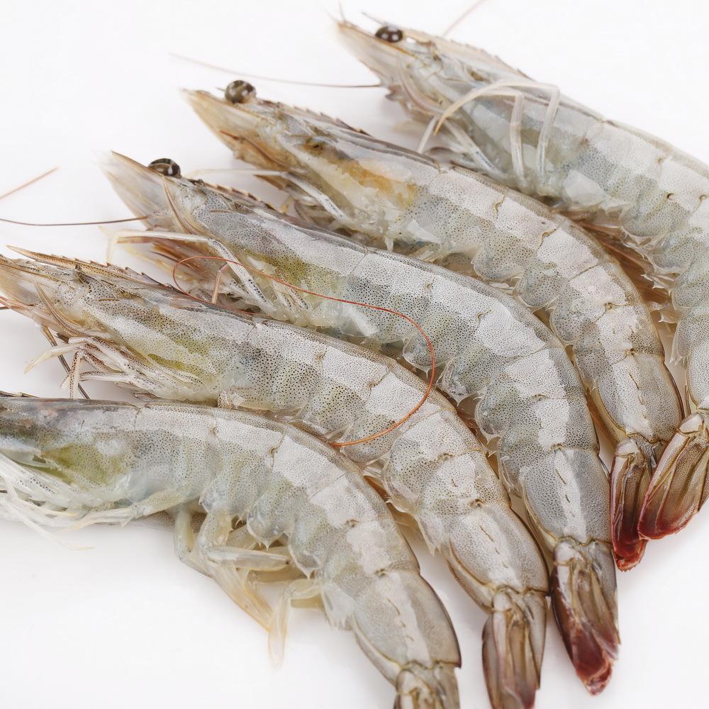 新全新 冻虾 1.5kg/袋高清大图