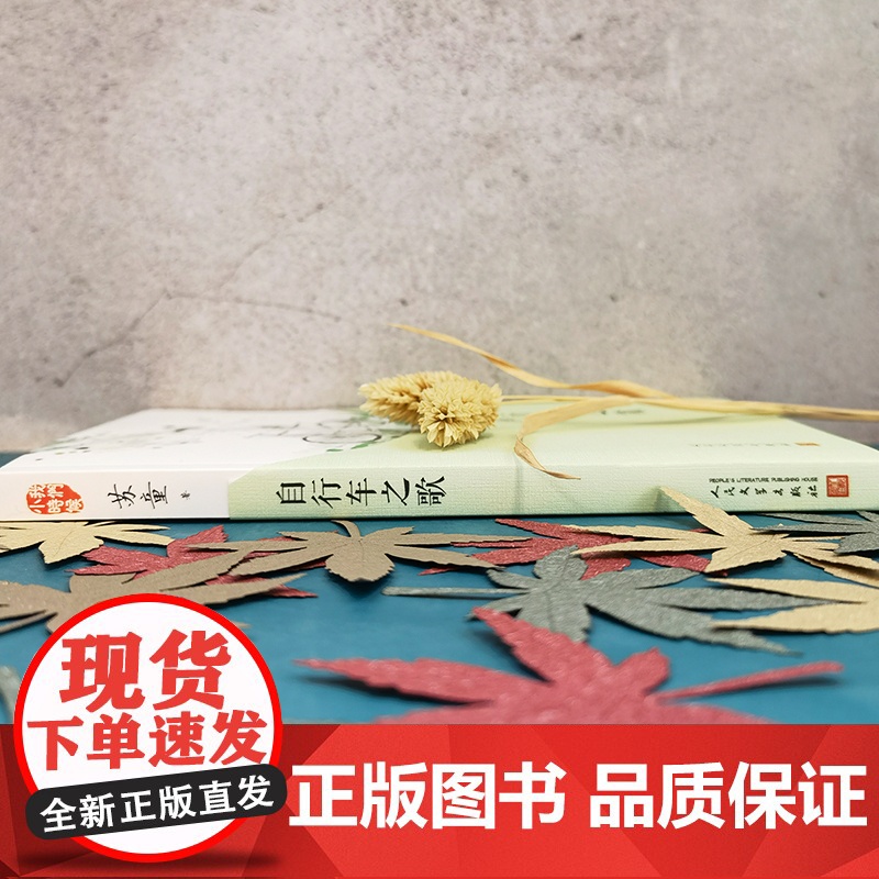 我们小时候:自行车之歌高清大图