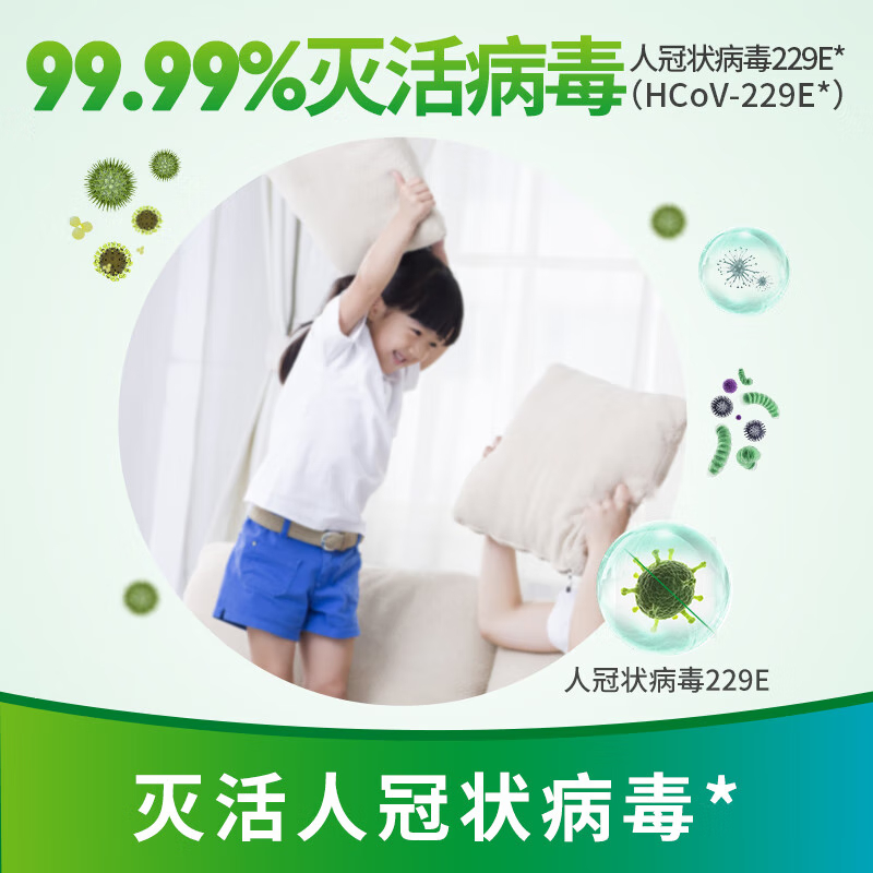 净安 季铵盐消毒液 家用室内地板杀菌宠物环境消毒 1L/瓶高清大图