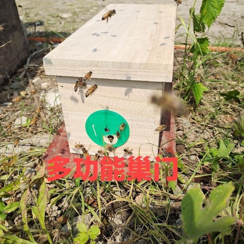 单个育王实木箱带俩空框送饲喂盒 育王交尾箱宠物蜂群实木蜂群笼蜂中蜂产卵蜂王观赏迷你育王箱