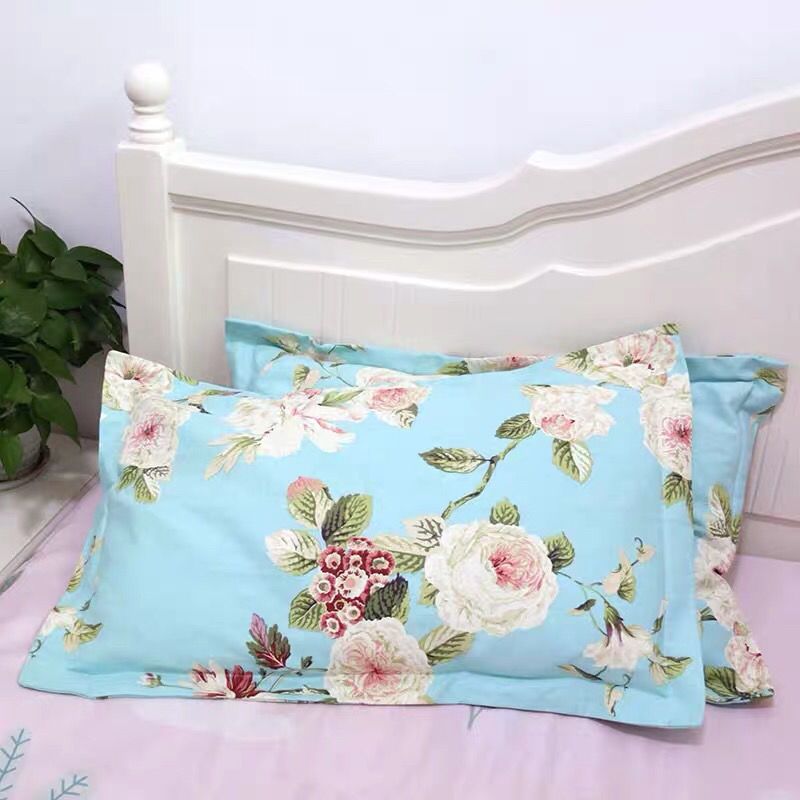 野生柏壳枕头白发少白头失眠助睡眠植物草药枕芯侧柏树壳乌发