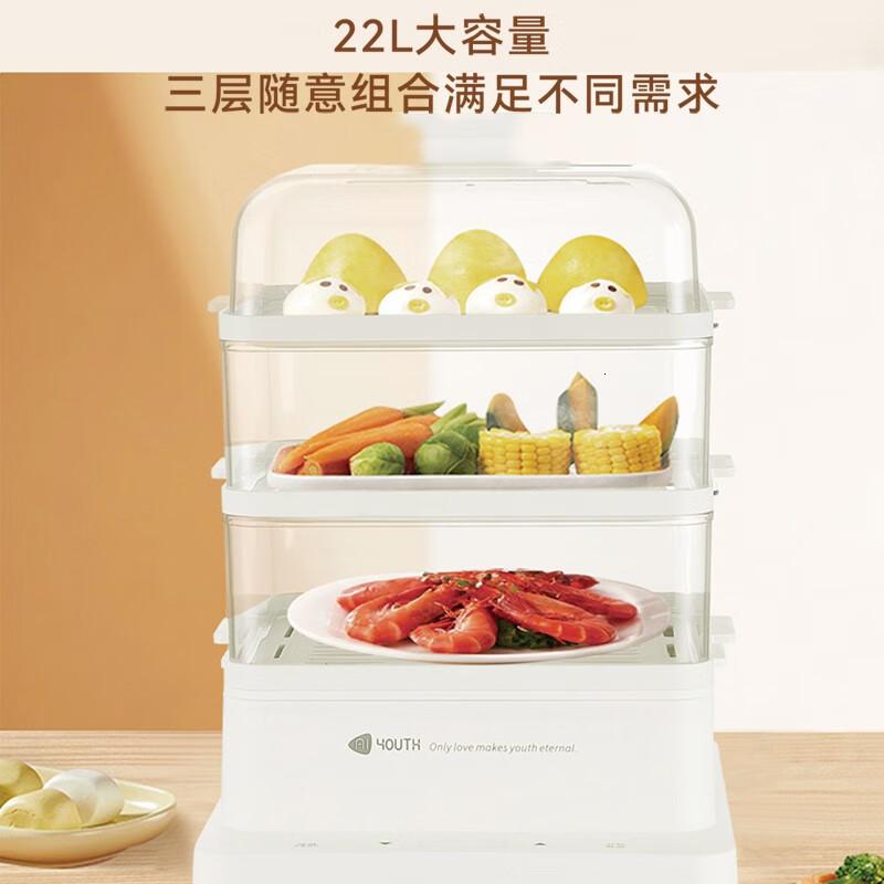 艾青春(AIYOUTH)多功能家用智能电蒸锅三层22L大容量KH-Z06高清大图