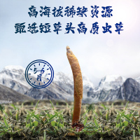 庄民 冬虫夏草 龙凤礼盒装 冻干高洁净 高品质精选 4条/g 优级 层层筛选饱满无断草无空草滋补品10克