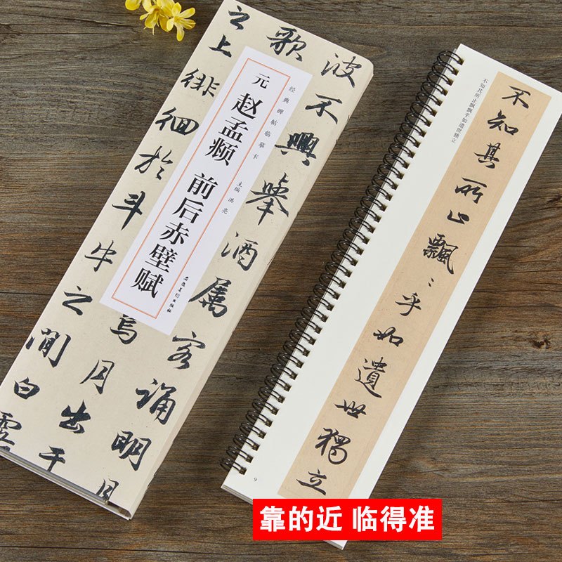 [正版]赵孟頫前后赤壁赋 元 经典碑帖近距离临摹卡 全2册 赵体行书书法毛笔字帖原帖简体旁注 安徽美术出版社