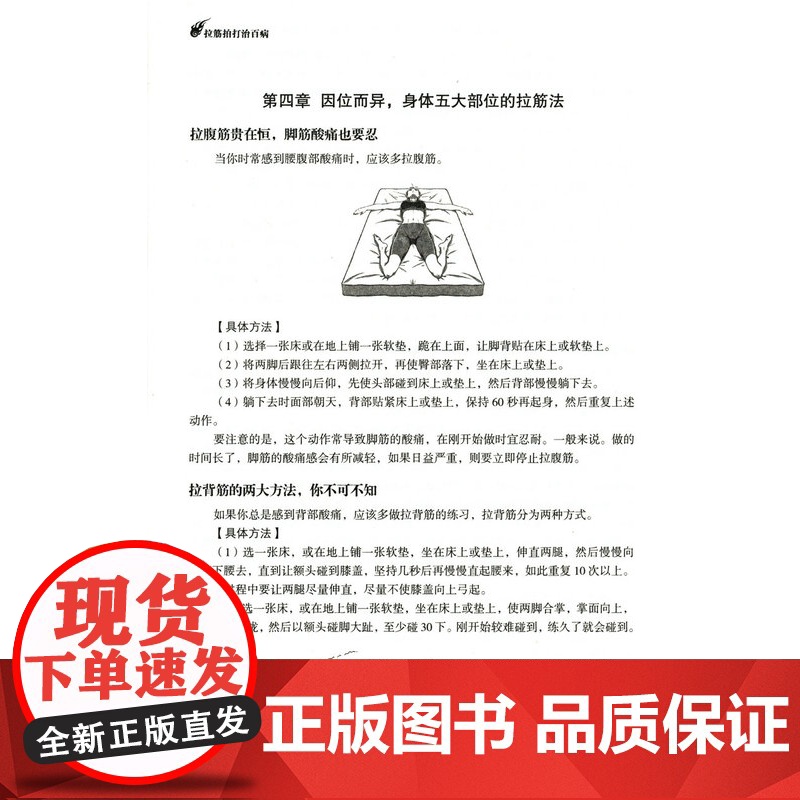 2册 拉筋拍打治百病+图解十二经络调筋术 家庭健身运动经络养生科学功能性训练激活筋膜治疗肌肉拉伸抻筋健身书籍深筋膜松解疗高清大图