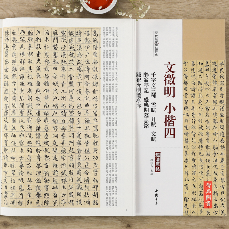 醉翁亭记盛應期墓志銘跋祝允明兰亭序历代名家碑帖经典毛笔软笔楷书