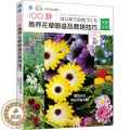 【醉染正版】100种易养花图鉴及栽培技巧日本妇之友社普通大众花卉观赏园艺图集农业、林业书卉