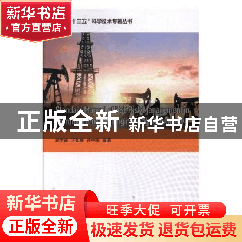 正版 石油测井工程计算HSE风险管理标准手册(英文) 夏学锋,王长图片