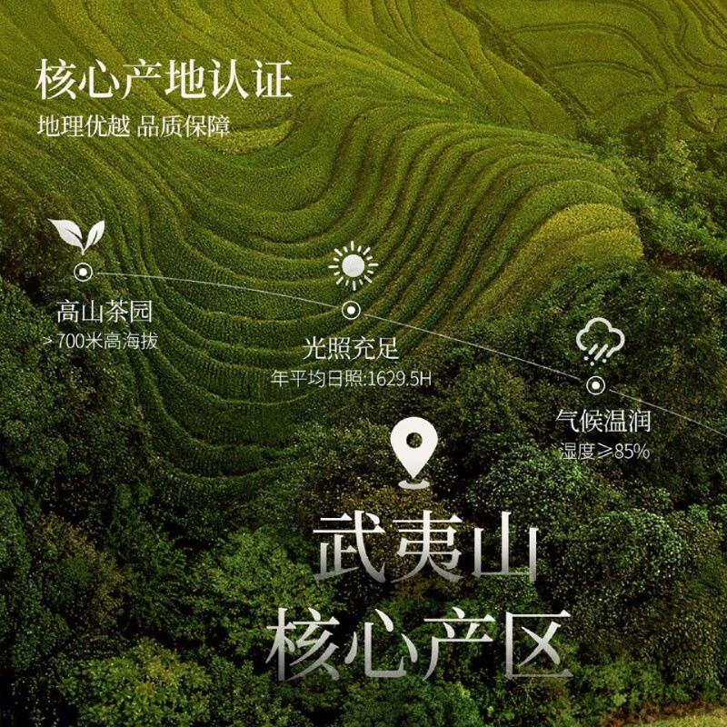 忆江南 祥韵-150g一级大红袍礼盒 青茶乌龙茶茶叶过节送礼高清大图