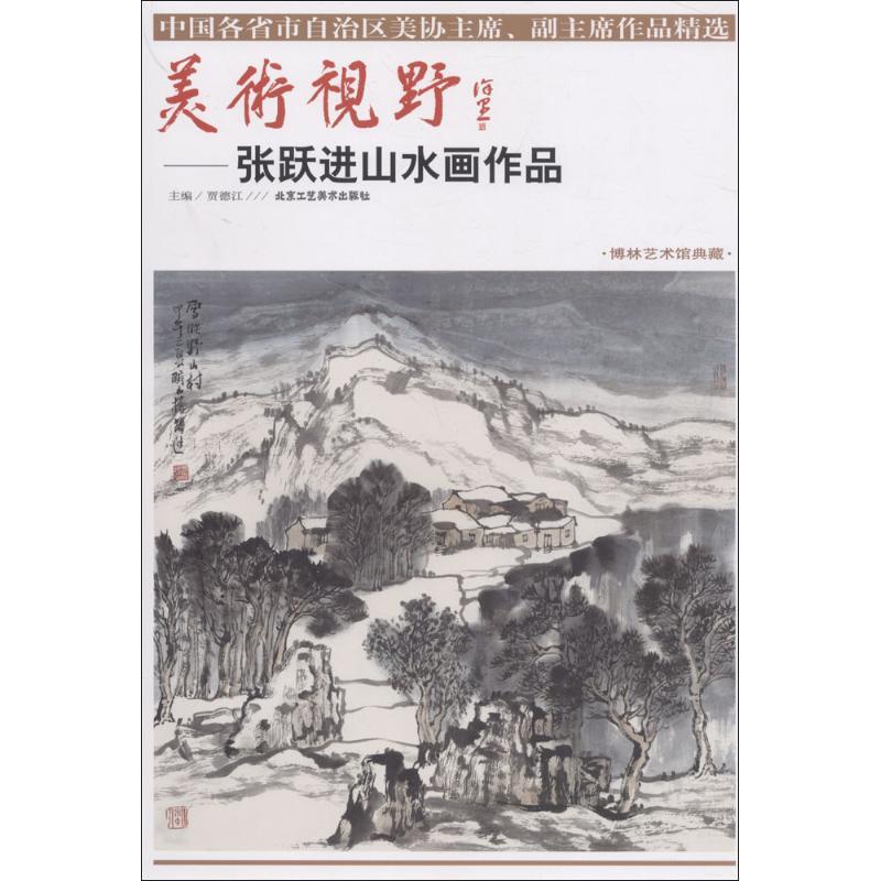 美术视野 贾德江 主编 艺术 文轩网