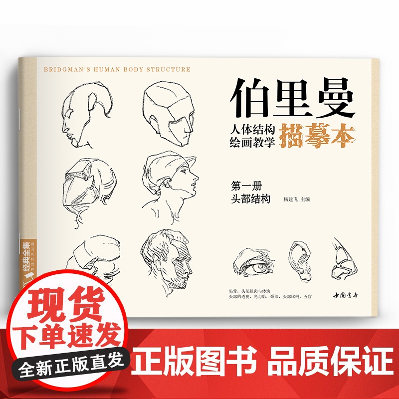 伯里曼人体结构教学描摹本[四册全套] 正版速写人物结构绘画练sh高清大图