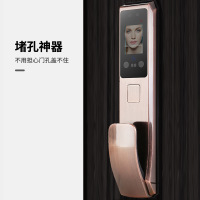 极控者(TiMER)融深达工厂家用防盗人脸识别智能锁 全自动人脸密码指纹锁