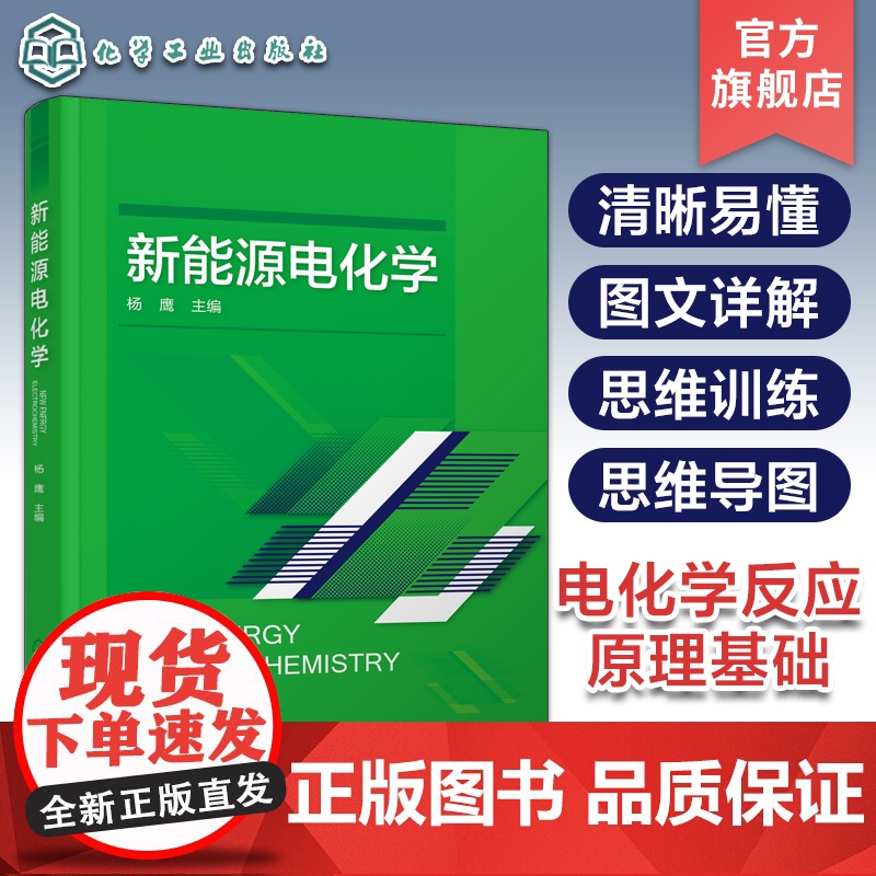 新能源电化学 各种新能源相关电化学反应原理和工程基础 各种化学电源器件发生电化学反应基本原理 新能源材料与器件等专业参考