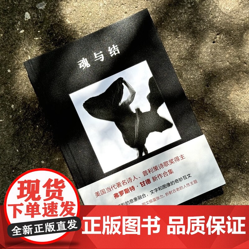 魂与结 弗罗斯特·甘德 著 诗歌词曲高清大图