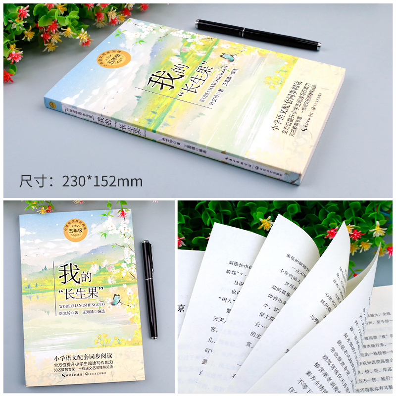 [套装8册]五年级必读课外书 [正版]五年级必读课外书上册 全套八册 老师阅读 落花生桂花雨搭石枕草子白鹭松鼠慈母情深牛