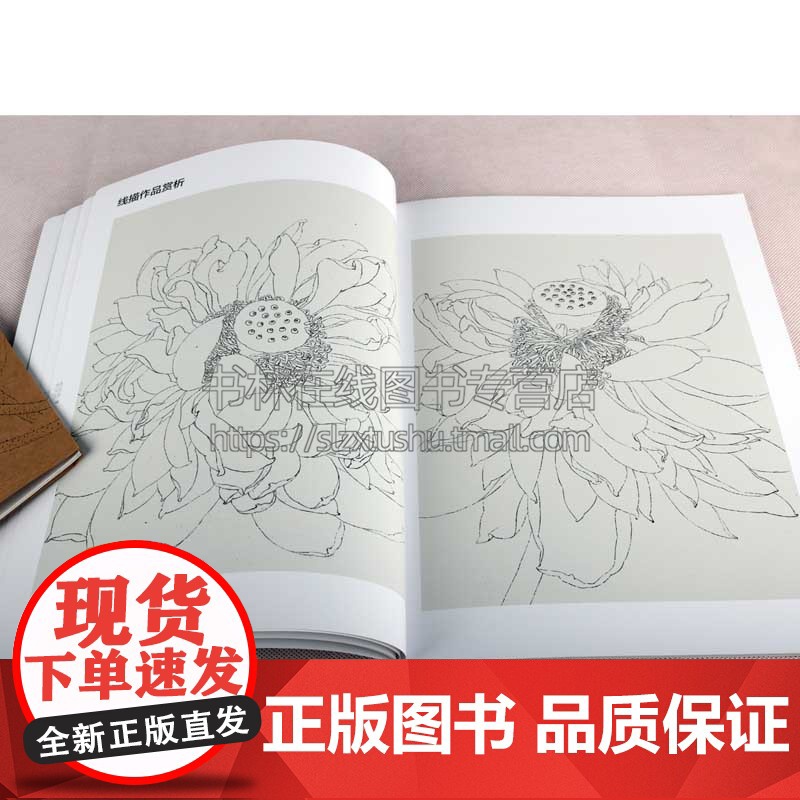 颜成彪画荷花赏析 唯美技法图典 国画技法精讲花卉鸟工笔画册集 勾勒画谱底稿素材教程绘画爱好者临摹图书 初学者美术入门临摹高清大图