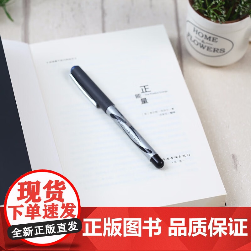 正版 正能量 湖南文艺出版社 (英)理查德.怀斯曼 坚持正能量 人生不畏惧 传递正能量的心灵成长之书高清大图