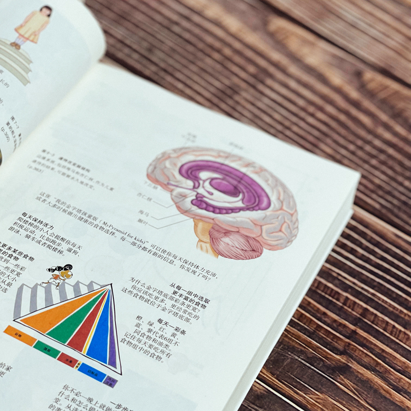 醉染图书发展心理学——人的生发展(第8版)(全2册)9787576019278高清大图