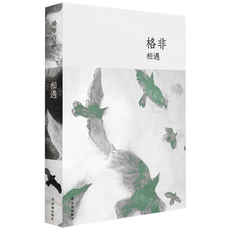 [N]相遇(精)-9787544792769高清大图