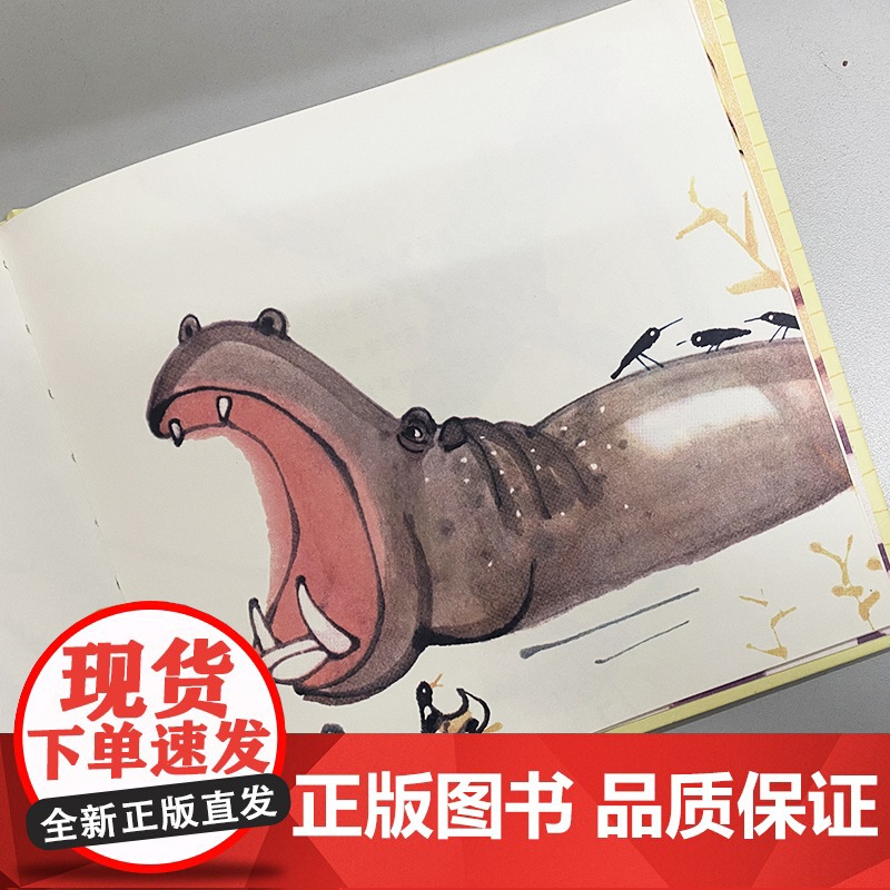 动物园 精装硬壳 詹同精选集国漫经典原创中国风少儿绘本儿童图书3-6周岁幼儿园宝宝早教启蒙认识动物绘本图画故事书朝华出版高清大图