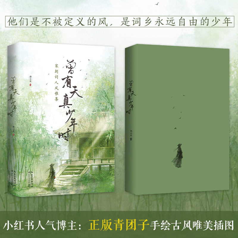 曾有天真少年时(含赠品) [正版]曾有天真少年时唐诗宋词鉴赏辞典全集苏轼欧阳修辛弃疾李清照晏殊唐宋八大家古诗词风雅集解读高清大图