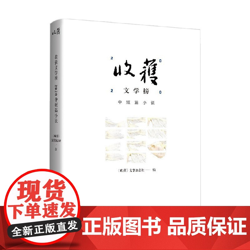 收获文学榜2020中短篇小说 《收获》文学杂志社 著文学高清大图