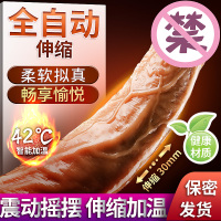 YEAIN夜樱泰山2代