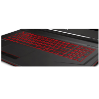 微星（MSI）GL73 17.3英寸大屏吃鸡游戏本电竞笔记本电脑 i7-8750H 8GB 128G+2TB GTX1060 6G独显 120HZ 94%色域 背光 标配