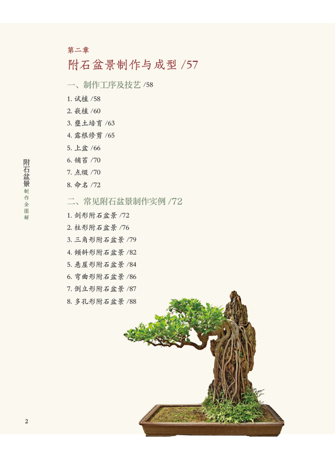 [醉染正版]正版 附石盆景制作全图解 书籍大全附石盆景制作与养护技巧鉴赏制作管理养花栽培树木植物盆景造型设计栽培修剪高清大图