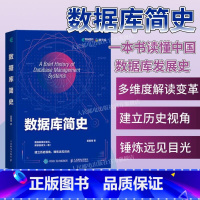数据库简史 [正版]2024重磅新作出版社数据库简史 盖国强著 大模型大数据互联网云计算Oracle国产数据库 9787