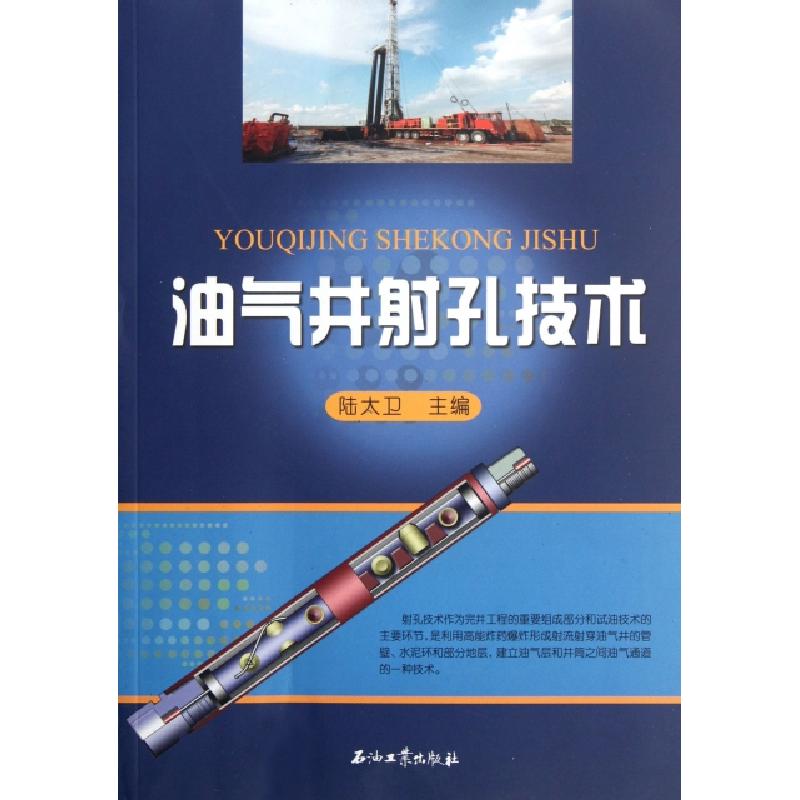 正版新书】油气井射孔技术陆大卫9787502190262