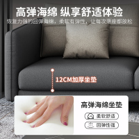 兰秀家居 布艺沙发客厅现代简约大小户型轻奢科技布贵妃三人四人位简易沙发