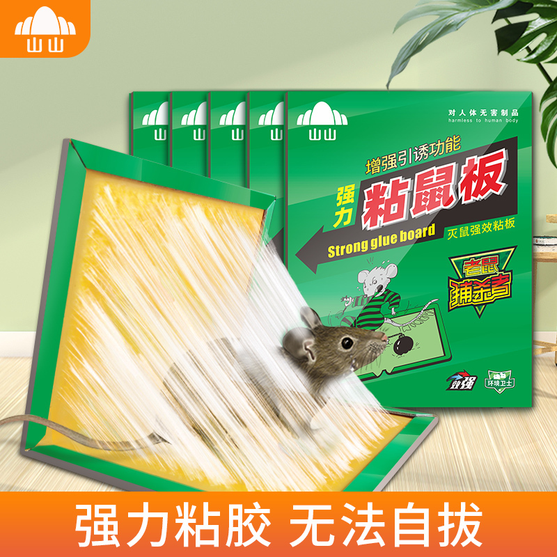 粘鼠板5张装