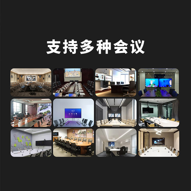 润普Runpu RP-YX970国产化会议麦克风/台式鹅颈有线话筒/专业演出舞台主持麦克风高清大图