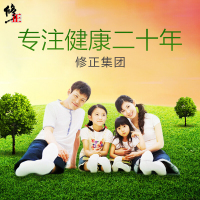 三盒装 修正菊苣栀子茶可搭配兰菊根茶葛根玉兰根茶苦苣苦菜百合茶桑叶花茶20袋/盒装