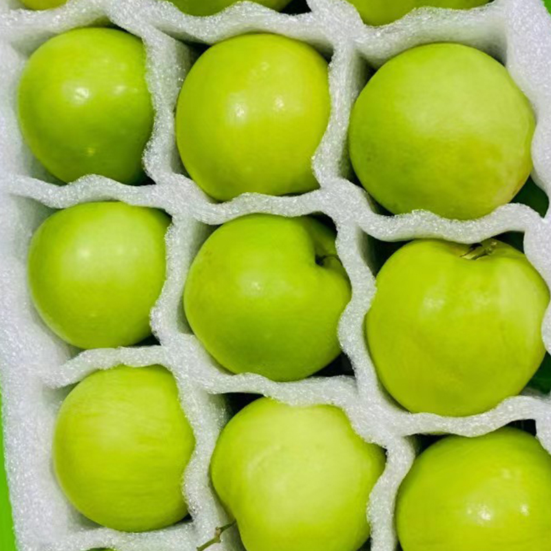 [西沛生鲜]福建牛奶贵妃枣 带箱9斤 单果60-100g 送酸梅粉 脆甜 爆甜多汁 新鲜水果高清大图